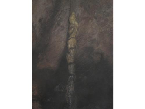 061