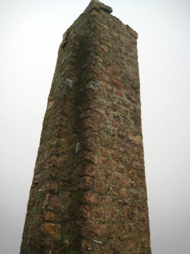 IMG 3340